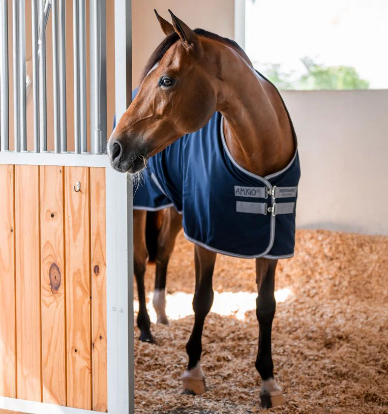 Coperta Da Box Amigo Stable Sheet X Sur Poly Blu