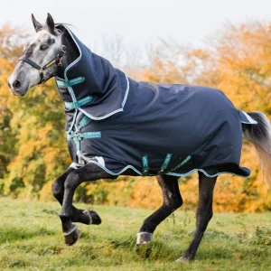 Coperta Da Paddock Amigo Bravo 12 Plus 250 gr