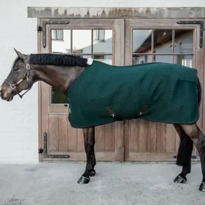 Coperta 4d Spacer Cooler Sheet Verde