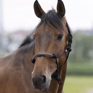 Capezza In Corda Norton Nero