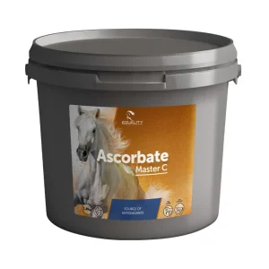 Ascorbate Master C 1,8Kg Equality