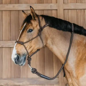 DY'ON TRAINING HALTER DY'ON Marrone CAPEZZINI E CAPEZZE