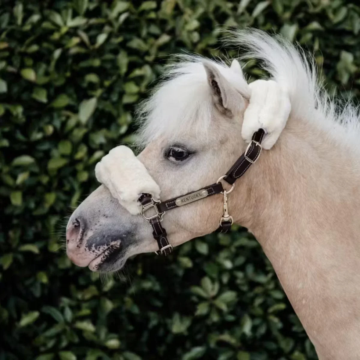 KENTUCKY LEATHER HALTER SHEEPSKIN KENTUCKY Marrone capezza per stalla e paddock - immagine 3