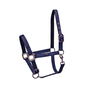 Sartore Cavezza Winner Imbottita Pesante Fibbie Ottonate Blu Capezzini E Capezze