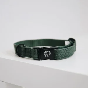 KENTUCKY COLLARE PER CANE KENTUCKY Verde accessorio per cani