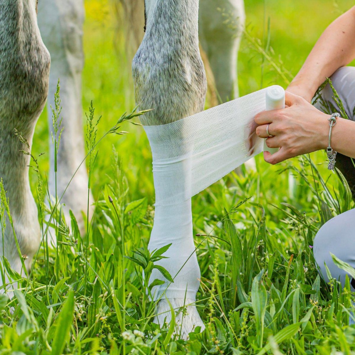 Bendaggio Raffreddante Equestre Elite X Mascheroni Selleria - immagine 5