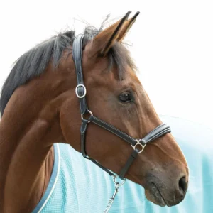 PARIANI CAVEZZA IN CUOIO OXER BLACK CAPEZZINI E CAPEZZE