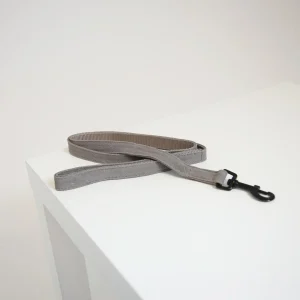 KENTUCKY GUINZAGLIO PER CANE KENTUCKY Beige accessorio per cani