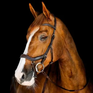 TESTIERA MICKLEM COMPETITION HORSEWARE