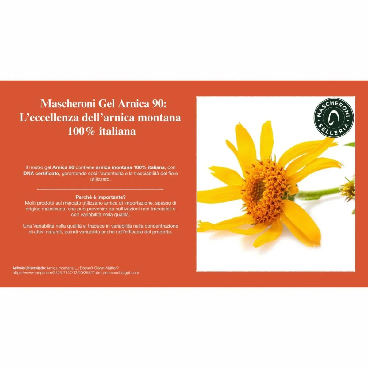 ARNICA NATURALE 90 - 500ML - immagine 5