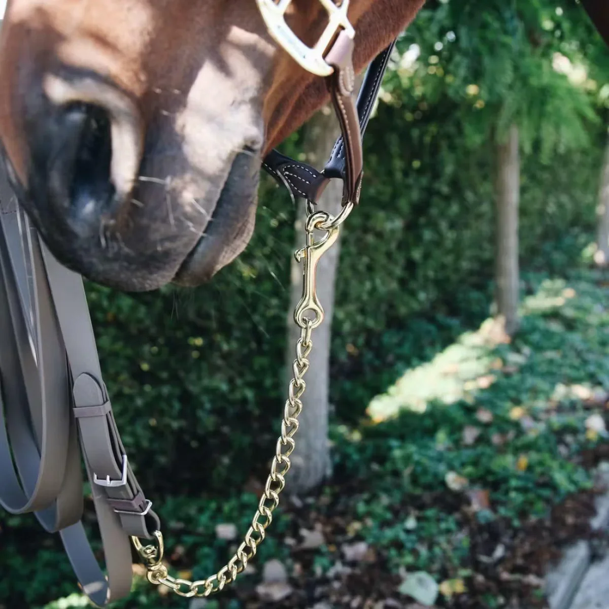 KENTUCKY STALLION CHAIN 60cm KENTUCKY Oro lunghine - immagine 3