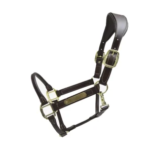 KENTUCKY CAPEZZA IN CUOIO KENTUCKY Marrone capezza per stalla e paddock