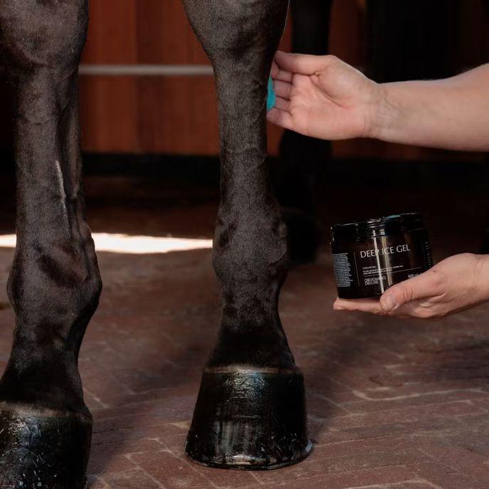 Gel Rinfrescante GD Recivering Ice Gel 500ml Grooming Deluxe - immagine 4