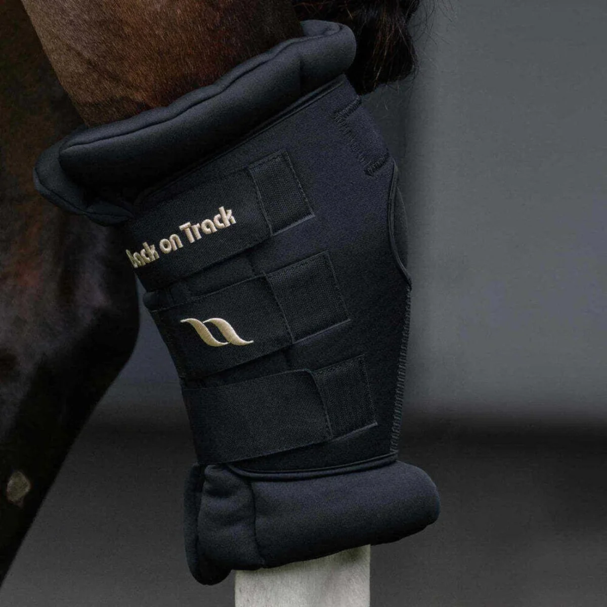 Back On Track Royal Delux Hock Boots Back On Track Black - immagine 7