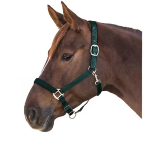 Waldhausen PERLON HALTER SATIN Verde CAPEZZINI E CAPEZZE