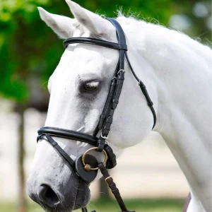 TATTINI TESTIERA IN CUOIO COMPLETA CON CAPEZZINO IMBOTTITO Nero per testiere
