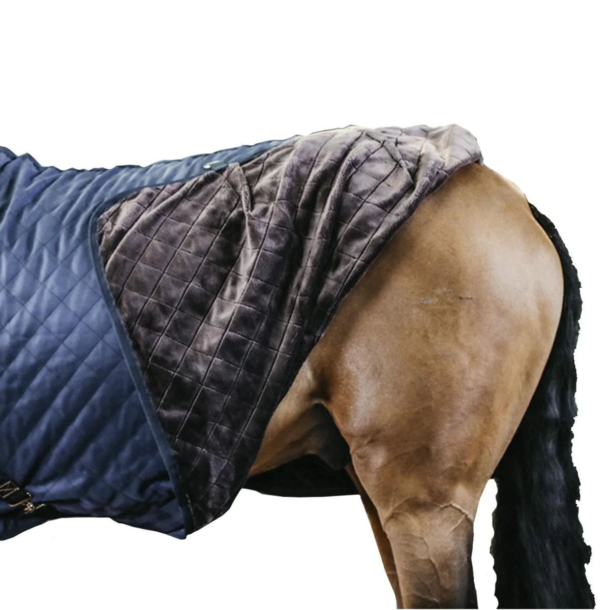 Coperta Da Box Stable Rug 0gr Kentucky Blu - immagine 4