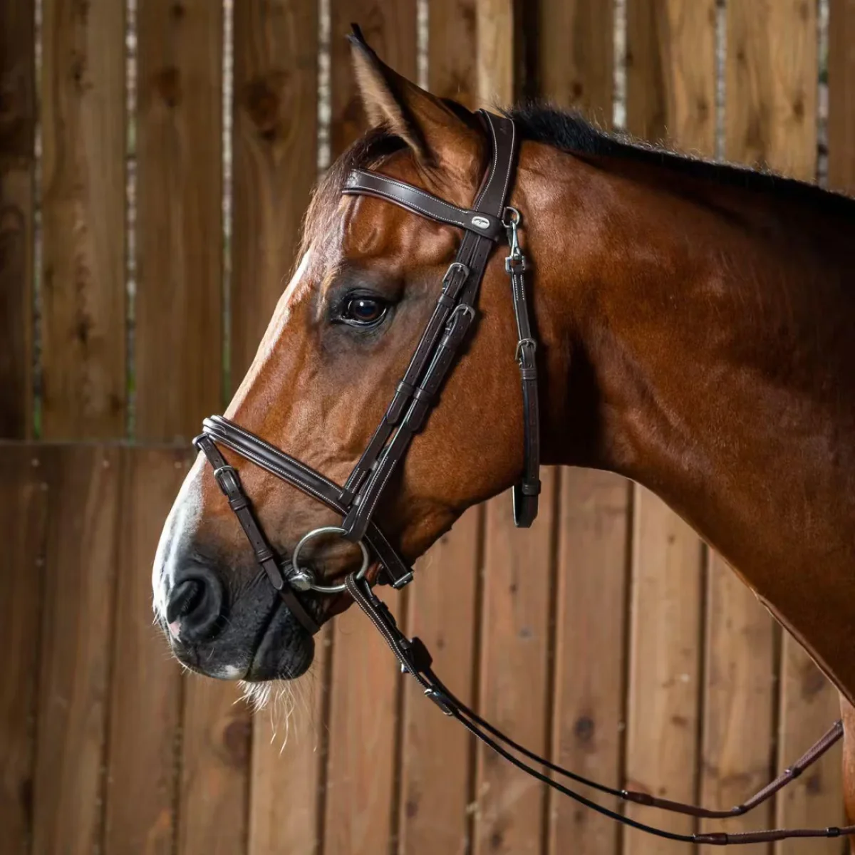 DY'ON FLASH NOSEBAND BRIDLE D COLLECTION Marrone BRIGLIE - immagine 3