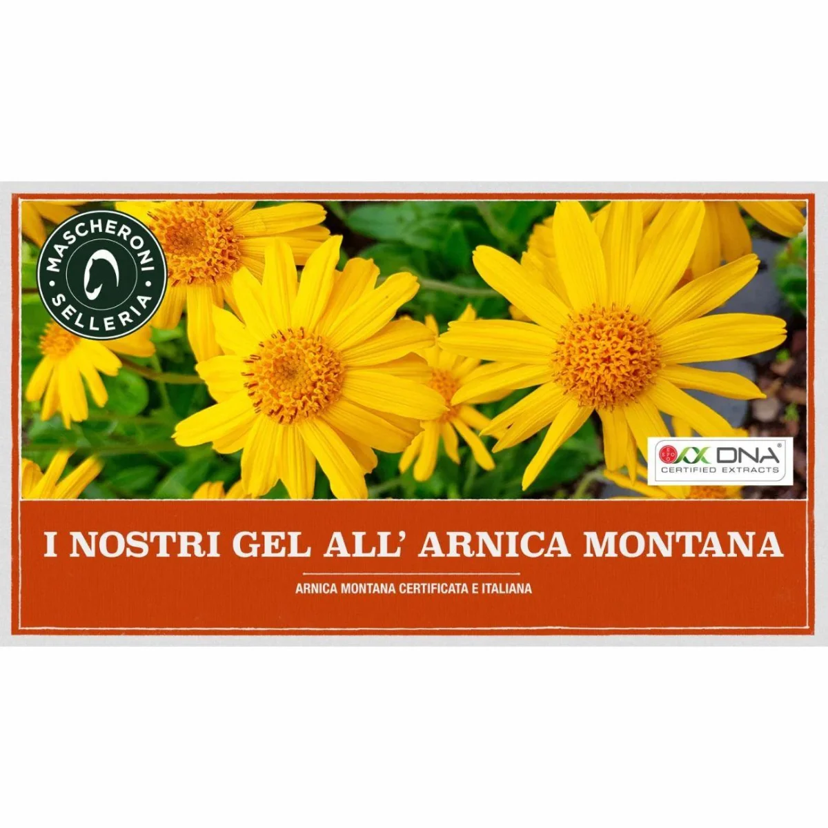 ARNICA NATURALE 90 - 500ML - immagine 4