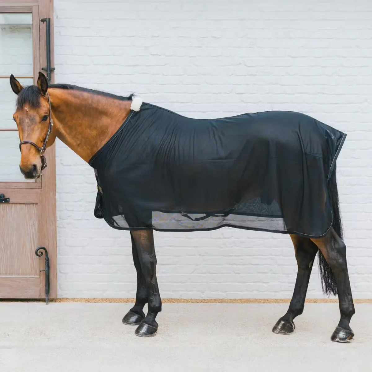 KENTUCKY COPERTA ANTIINSETTI MESH FLY SHEET Nero coperta per cavallo - immagine 3