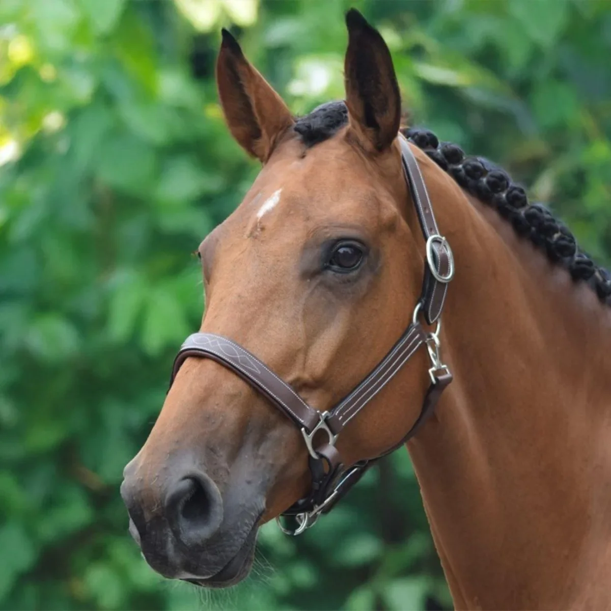 JUMP'IN CAPEZZA - COLLECTION ONE JUMP'IN Marrone capezzini e capezze LOFAMARRONE - immagine 3