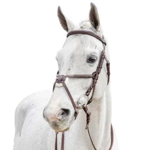 WINNER 09SA48428MARRONE Marrone TESTIERE