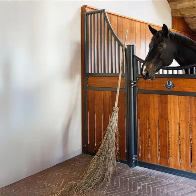 Scopa In Bamboo Grooming Deluxe - immagine 4