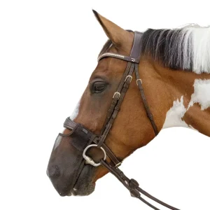 KENTUCKY ANTI FLY NOSE NET Marrone cuffie antirumore - antimosche