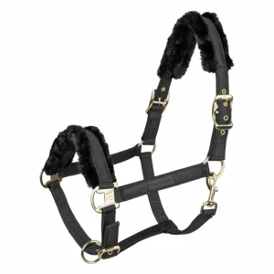 Waldhausen HALTER EXCLUSIVE WALDHAUSEN Nightblack/black CAPEZZINI E CAPEZZE