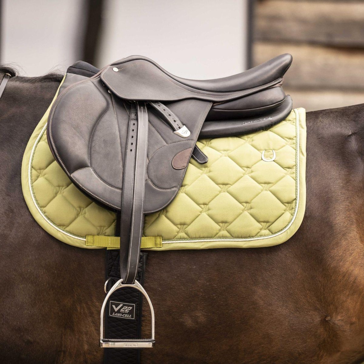 Pad Ammortizzatore Corretting Back Pad Lamicell - immagine 7