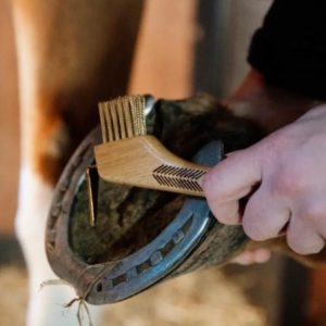 GROOMING DELUXE Nettapiedi In Metallo Con Spazzola Brown nan Spazzola Morbida