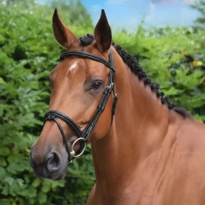 Testiera In Cuoio Paris Jump'In Nero