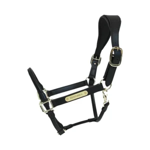 KENTUCKY CAPEZZA IN CUOIO KENTUCKY Nero capezza per stalla e paddock