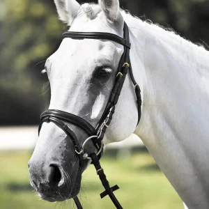 Testiera In Cuoio Tattini Nero