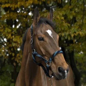 EQUITHEME BRAID Dark Blues/Turquoise - CAPEZZINI E CAPEZZE [510628177]