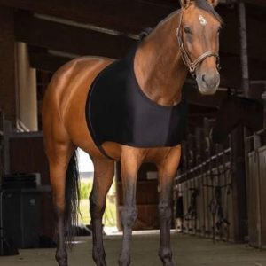 EQUITHEME COPRICOLLO Nero - COLLI