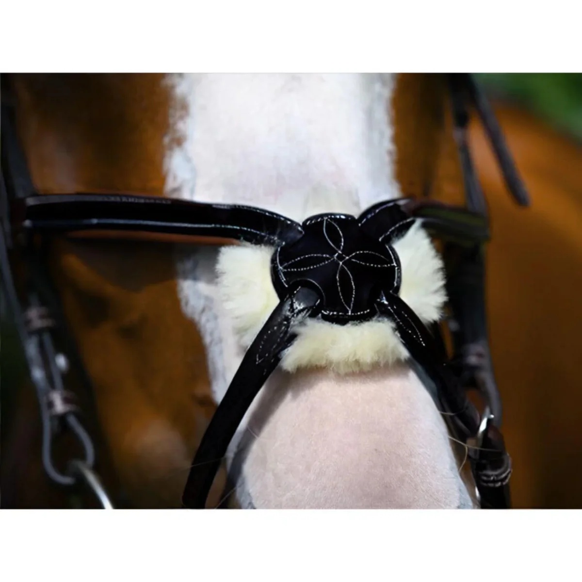 JUMP'IN CAPEZZINO MESSICANO JUMP'IN Nero tute sportive MWTCRNERO