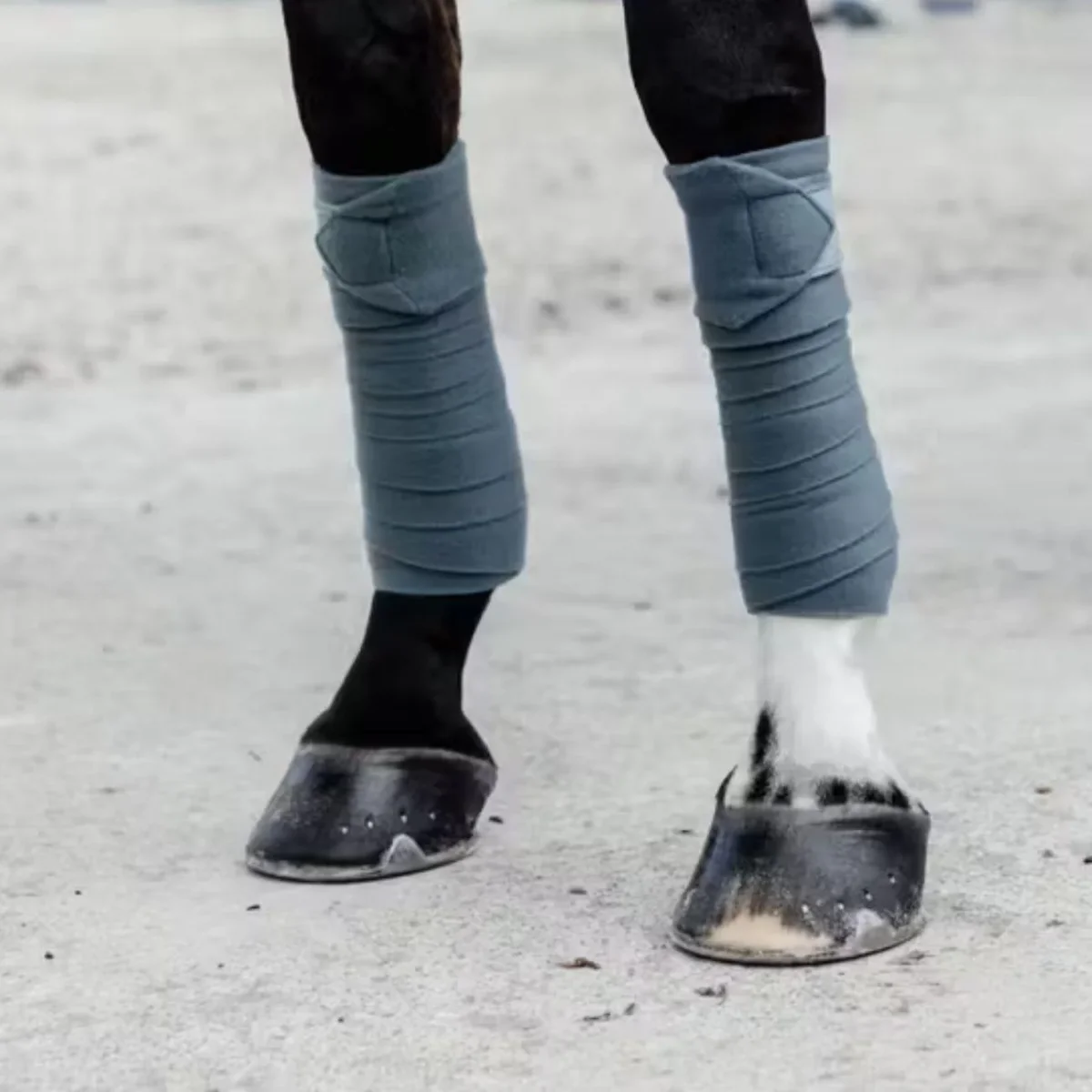 FASCE IN PILE VELVET KENTUCKY - immagine 4