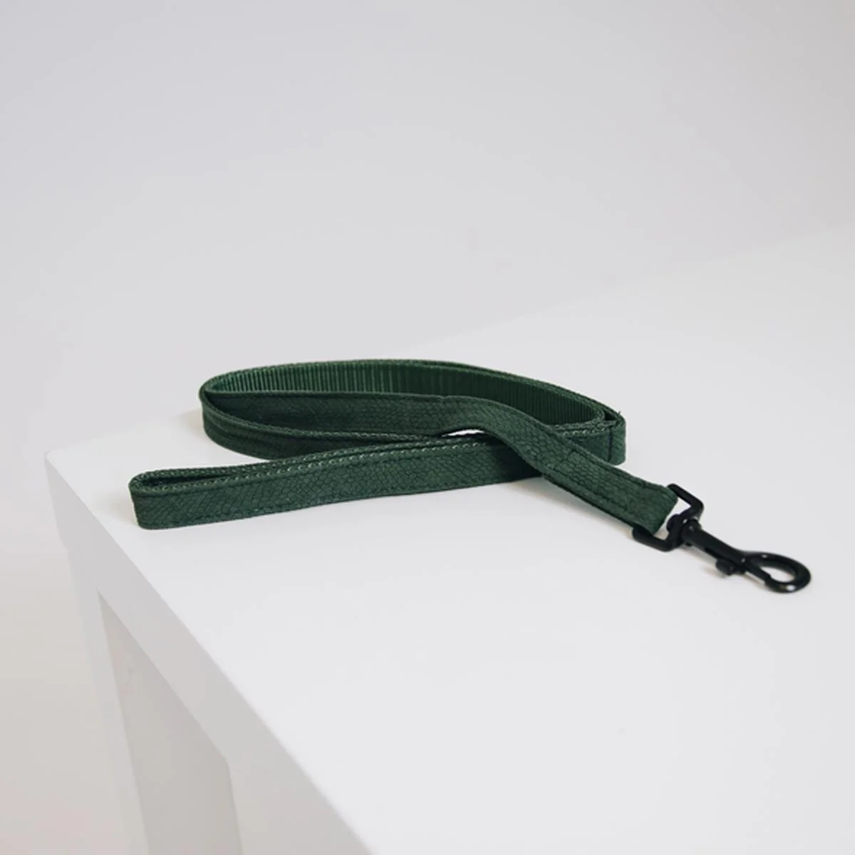 KENTUCKY GUINZAGLIO PER CANE KENTUCKY Verde accessorio per cani