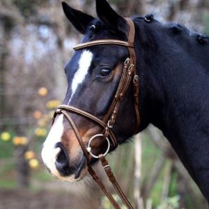 Waldhausen TESTIERA IN CUOIO X-LINE MOD.SANTANDER Marrone TESTIERE