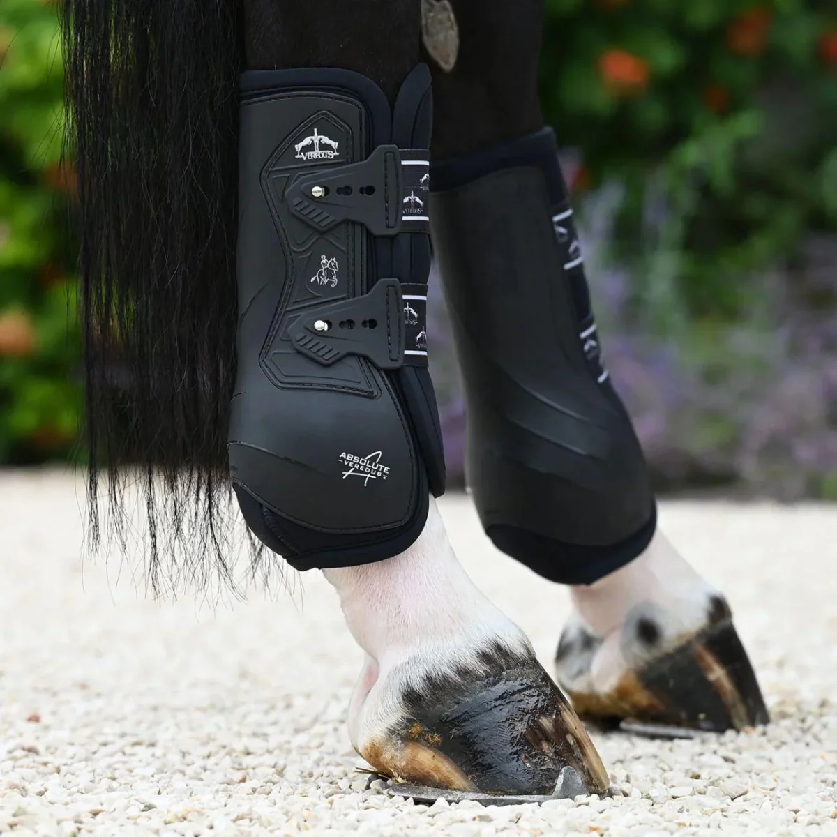 Paratendini Posteriori Da Dressage Absolute Elastic Veredus - immagine 3