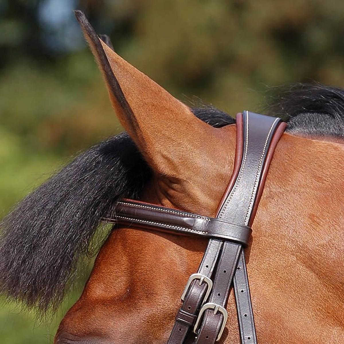 Testiera In Cuoio Con Redini In Gomma Dy'on - immagine 3