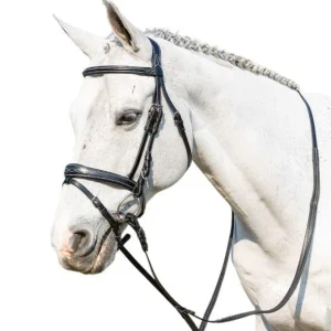 WINNER 09SA48538NERO Nero BRIGLIE