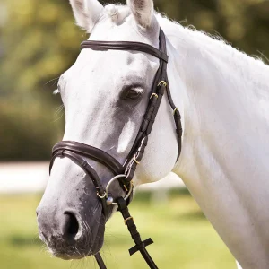 Testiera In Cuoio Tattini Marrone