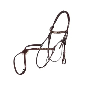 PARIANI BRIGLIA RIVIERA MESSICANA PARIANI DARKHAVANA BRIGLIE