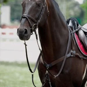 TATTINI PETTORALE 5 ATTACCHI CON MARTINGALA Nero per pettorali