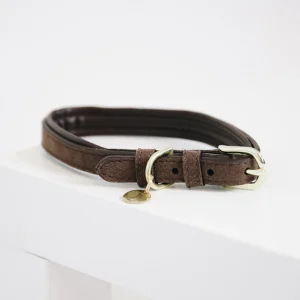 KENTUCKY COLLARE PER CANE IN PELLE VELLUTATA KENTUCKY Marrone accessorio per cani