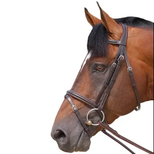 Testiera In Cuoio Con Redini In Gomma Dy'on