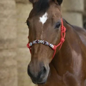 NORTON Capezza Ethological Pearl Con Fod. Nasello Norton Red Capezzini E Capezze