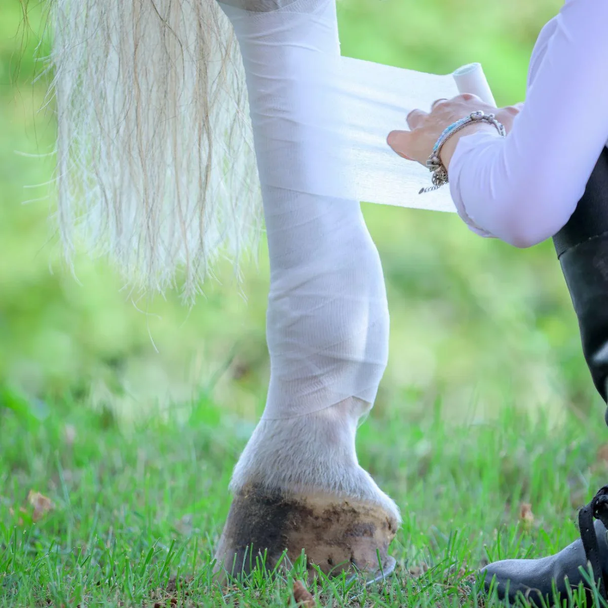 Bendaggio Raffreddante Equestre Elite X Mascheroni Selleria - immagine 4